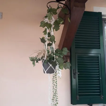 Simon's Дом отдыха *