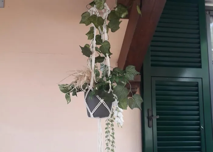 Simon's Dom wakacyjny *